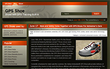 custom designed blog website solutions